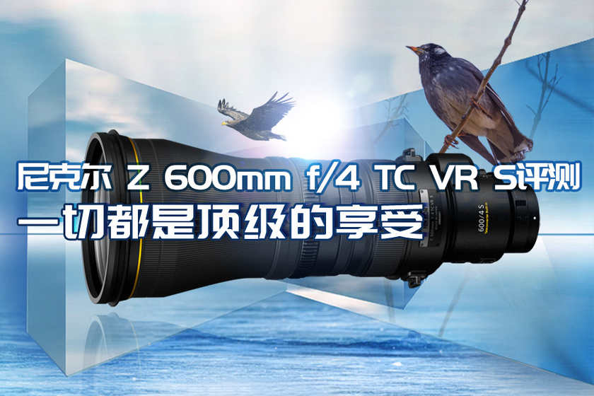 一切都是顶级的享受 尼克尔 Z 600mm f/4 TC VR S评测